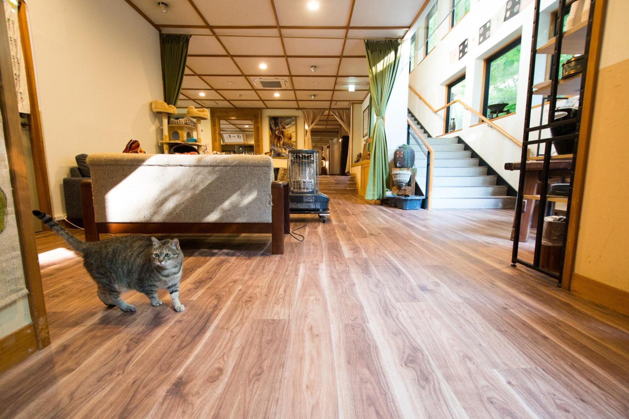 Akasawa Onsen Ryokan Nasushiobara Bagian luar foto